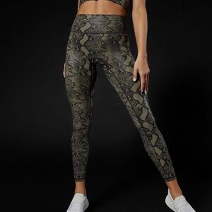 BuffBunny Rebel Leggings in Green Snake Bite, Women's Large